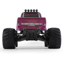 FMS 1:10 Ford F100 Monster Truck 2WD RTR